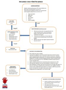 influenza-vaka-yönetim-şeması