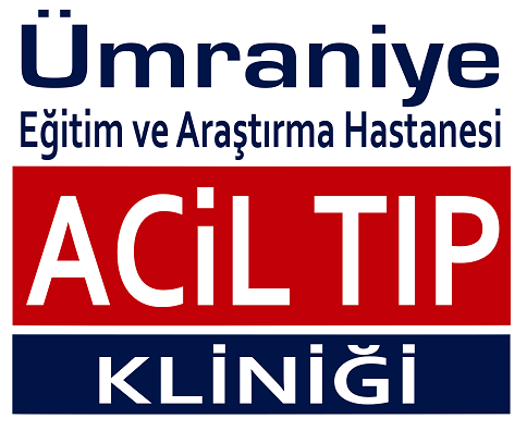 ÜA_Logo_yazılı2