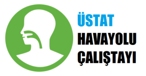 ÜSTAT_havayolu