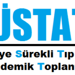 ÜSTAT_logo1