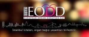 eodd2