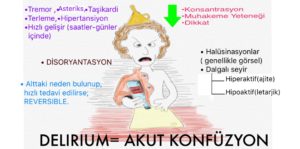 IMG-20171005-WA0006
