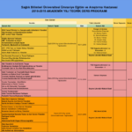 Akademik Yıl P. 2