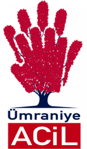 logo333